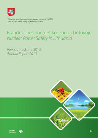 VATESI 2013 metų veiklos ataskaita